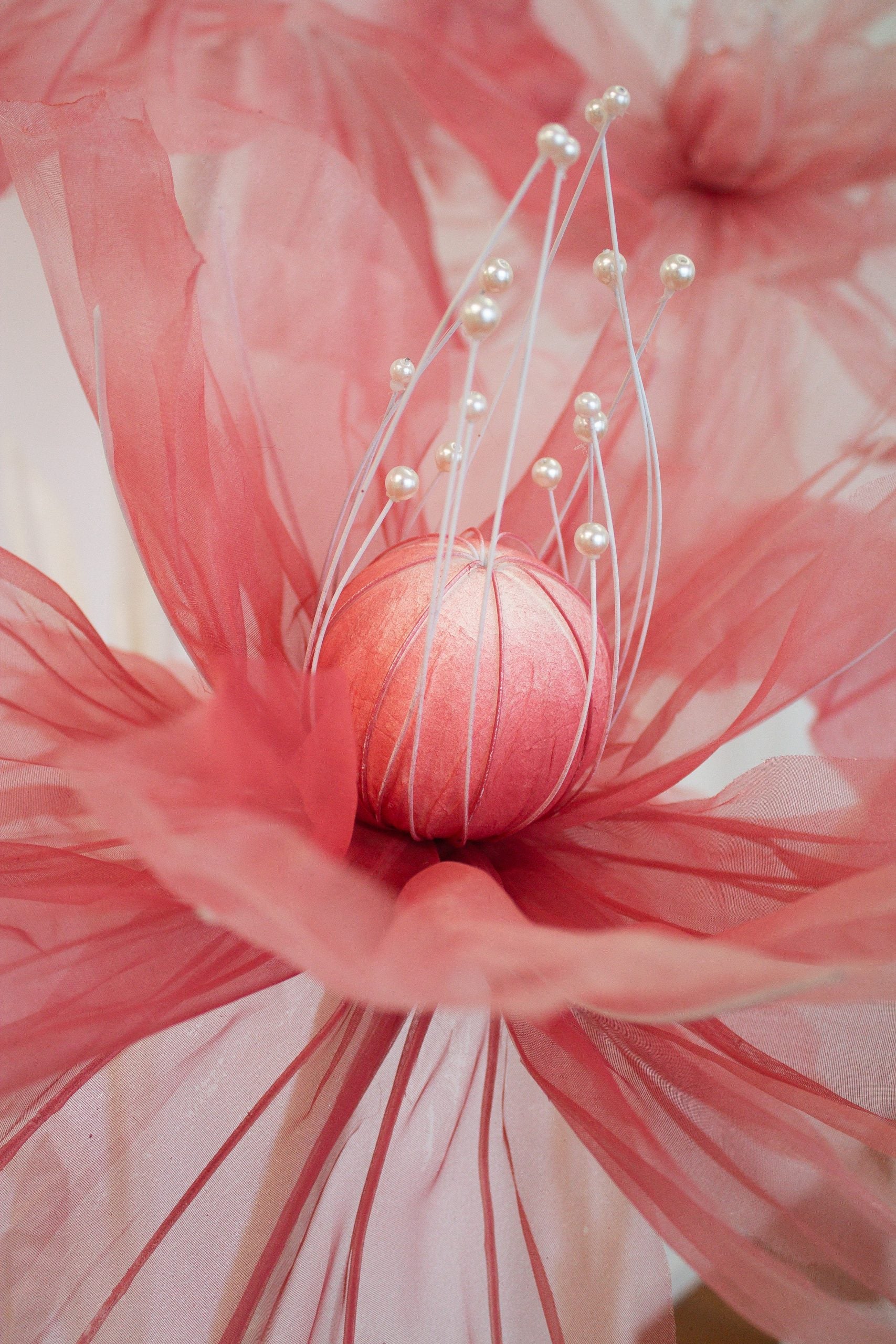 giant flowers, giant silk flowers, giant pink flowers, giant poppy flowers, pink flowers, flower props, flower backdrop, giant flower hire auckand, giant flower hire